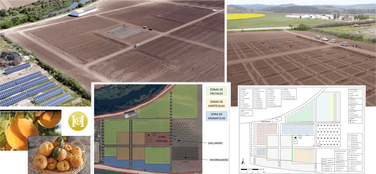 Huerta de Hualdo al completo